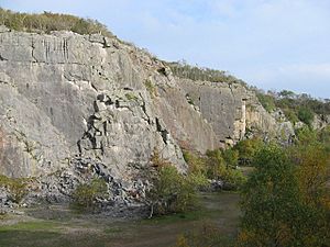 Trowbarrow quarry - geograph.org.uk - 1003764