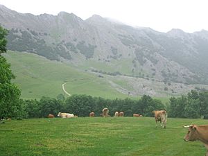 Urbia 2