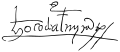 Vasco da Gama signature almirante