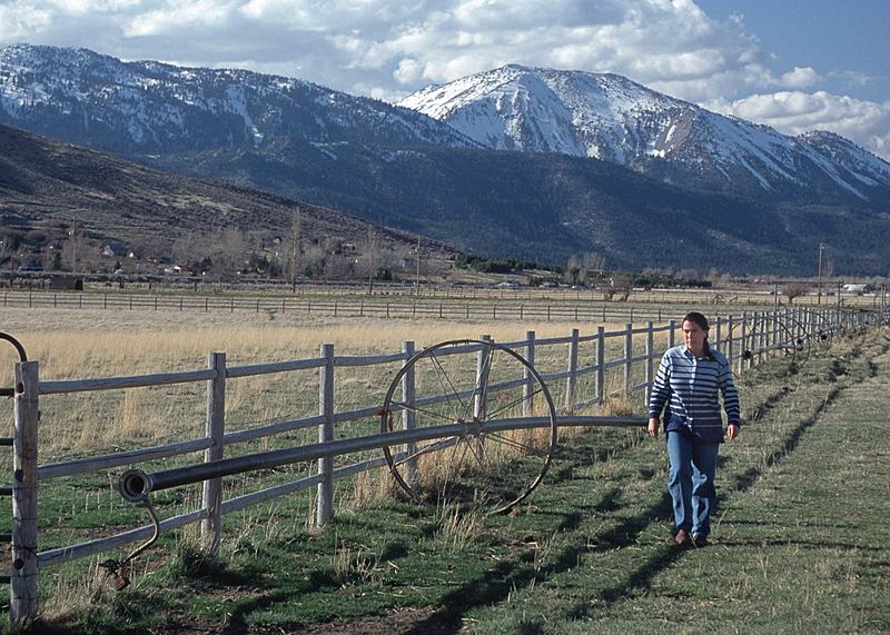 Washoe County