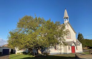 Westport MRD 20