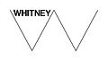 Whitney Museum Logo.jpg