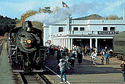 Steam locomotive 29 and train sitting at Williams Depot, 1993
