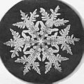 Wilson A. Bentley snowflake, 1890