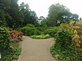 York Museum Gardens Edible Wood