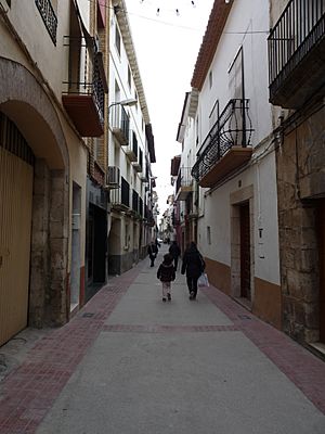 Zaidín - Calle Mayor