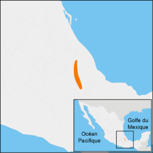Abronia graminea distribution