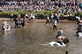 Appleby Horse Fair (8991333070)