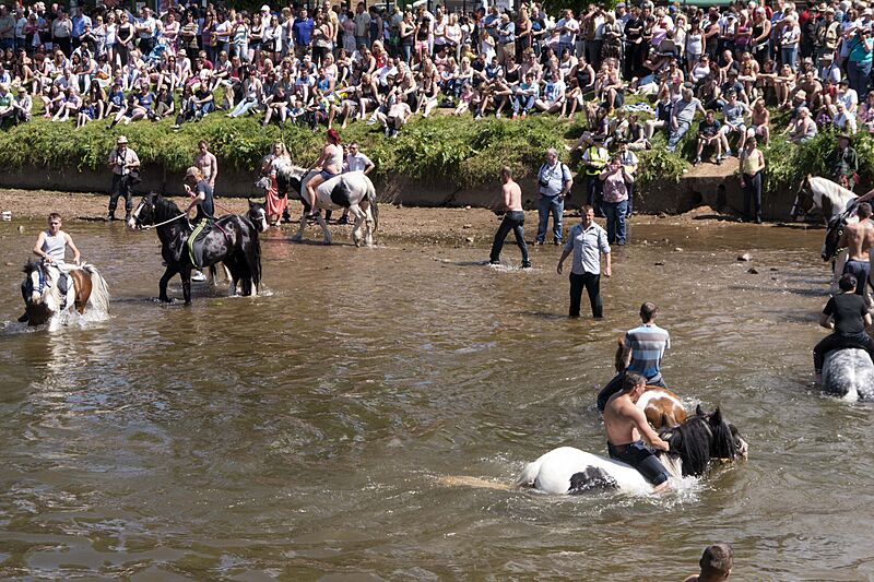 Appleby Horse Fair (8991333070)
