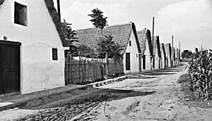 Barraques de Beniparrell abans de la Gran Riuada de València (País Valencià, 1957)