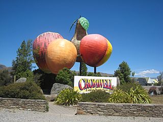 Big fruit outside Cromwell, Central Otago