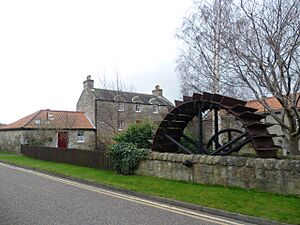 Bonnington Mills