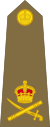 Lieutenant-General