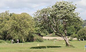 Brown's Golf Course in Sandown, May 2022