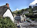 Cadgwith Cove - geograph.org.uk - 9871