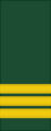 Canadian Army (sleeves) OF-4