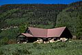 Cascade lodge