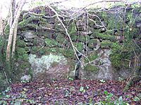 Chambered Grave at Carrigans - geograph.org.uk - 88016