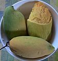 Chok anan mangoes semi-ripe and ready to eat