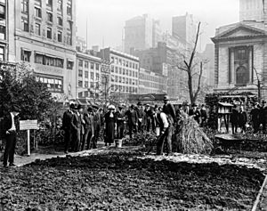 City experiment in gardening, New York City LCCN93501876 - edited