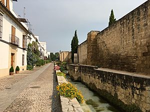 Cordoba City Walls, Córdoba (Spain)