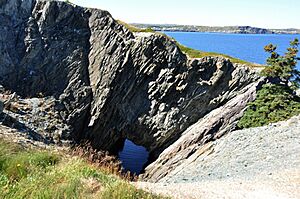 CupidsNL BurntHeadArch