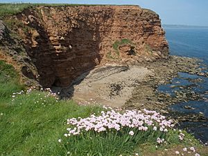 Danger Point - geograph.org.uk - 1298649