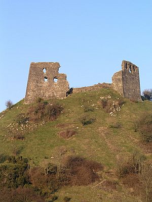 Dryslwyn Castle - geograph.org.uk - 243964