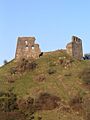 Dryslwyn Castle - geograph.org.uk - 243964