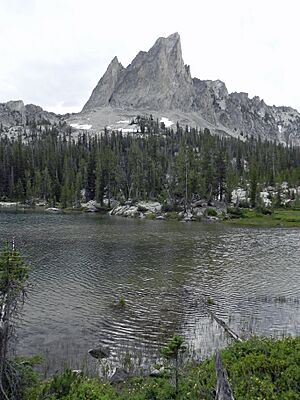 El Capitan ID
