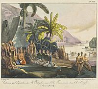 Entrevue de l'expedition de M. Kotzebue avec le roi Tammeamea dans l'ile d'Ovayhi, Iles Sandwich