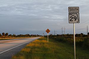 FL 29 sign near the intersection with I-75