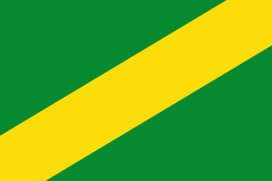 Flag of Madre de Dios Department