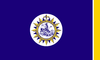 Flag of Davidson County
