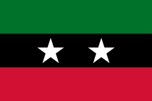 Flag of SLM (Tambour)