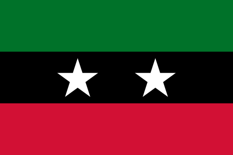 Flag of SLM (Tambour)