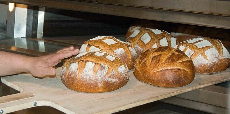 Freshly baked bread loaves