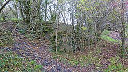 Gadgirth Pit ruins, Gadgirth Estate, By Annbank, South Ayrshire