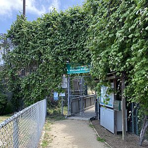 Gardena Willows Wetland Preserve 2023 June 02