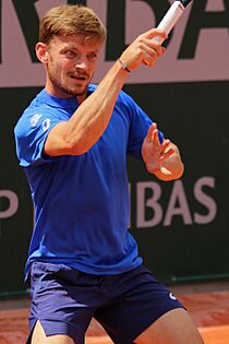 Goffin RG19 (39) (48199375812)