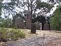 Gravestones Isle of Dead Tasmania Port Arthur