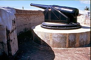 Gun, Kissing Point Fortification, 2007.jpg