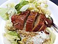 HK 香港理工大學 PolyU 紅磡 Hung Hom student canteen food roasted BBQ duck vegetable rice May 2019 SSG 01.jpg