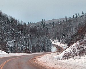 Hwy 41 ON