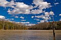 Kincaid Lake