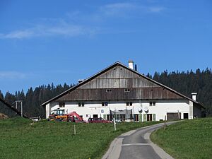 La Brevine La Grosse Maison 1