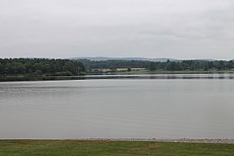 Lake Chillisquaque in July (1).JPG