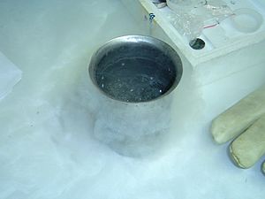 Liquid nitrogen dsc04496