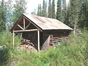 Lower Toklat Ranger Cabin