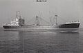 MV Brescia (cropped)